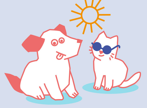 Les vacances et les dangers de l’été