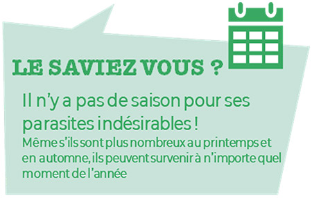 Les parasites indésirables sont présents toute l'année.