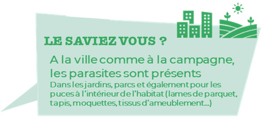 Les parasites sont présents à l'intérieur de l'habitat.