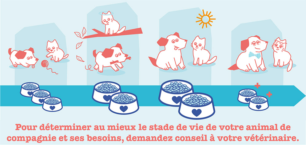 Pour déterminer au mieux le stade de vie de votre animal, demandez conseil à votre vétérinaire.